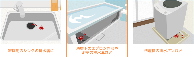 チョウバエが発生しやすい場所